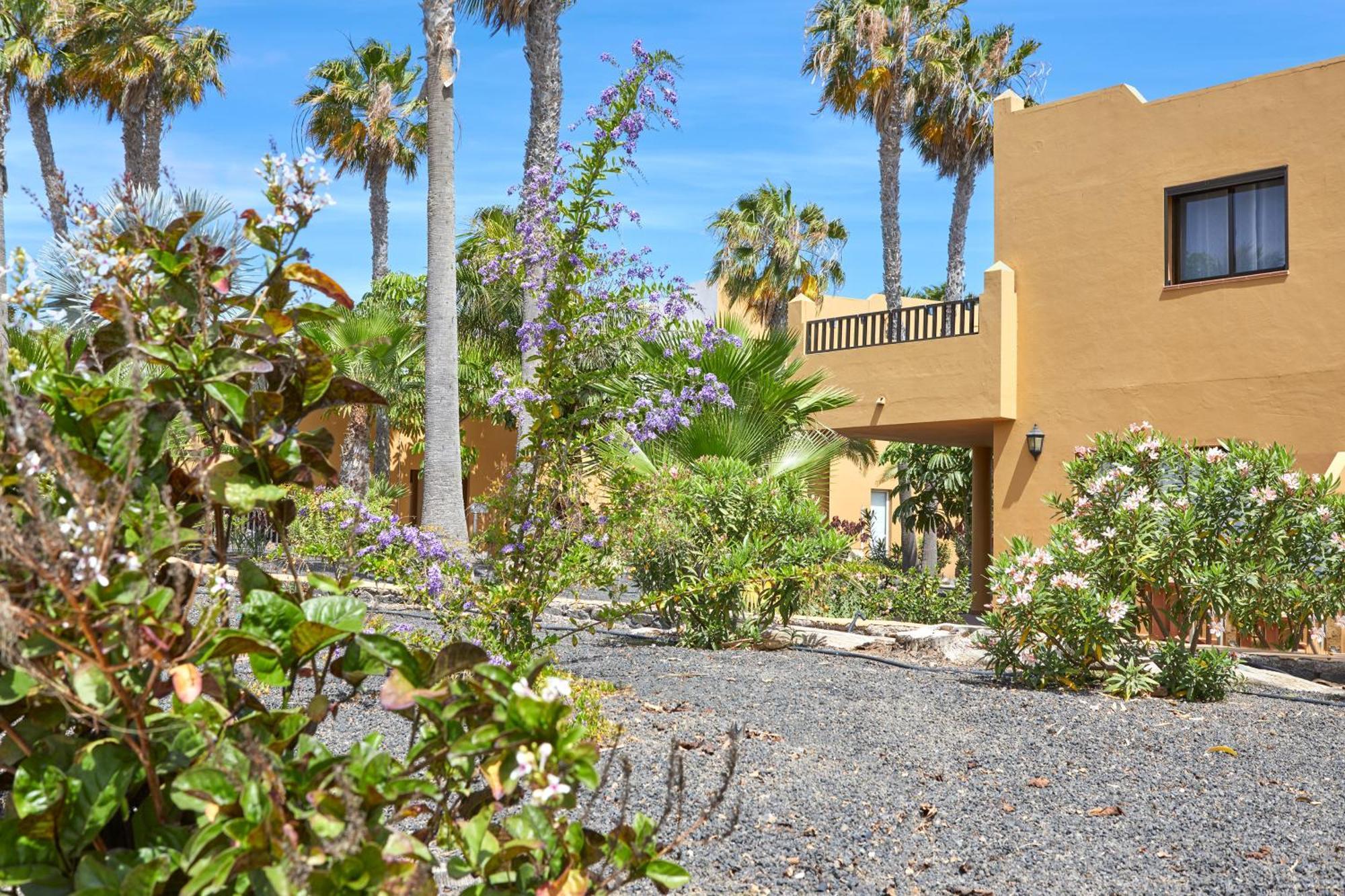 Apartamento Samira Fuerteventura Корралехо Екстер'єр фото